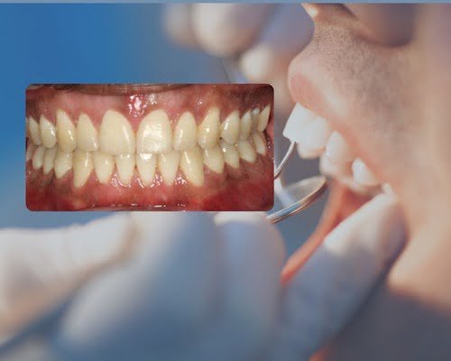 WhatsApp Image 2023-12-08 at 6.12.38 PM